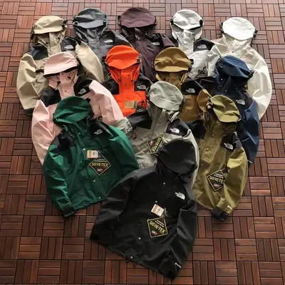 THE NORTH FACE Jacke