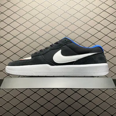 NIKE SB Skate Low