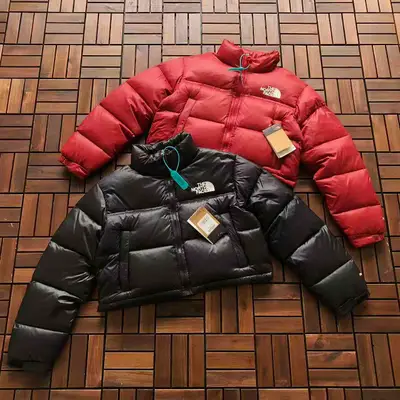 THE NORTH FACE Jacke