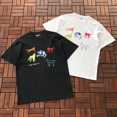 CARHARTT T-Shirt