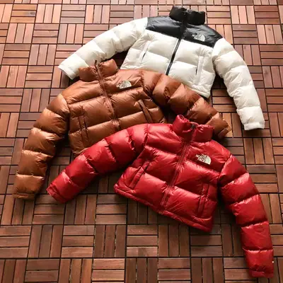 THE NORTH FACE Jacke