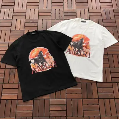 AMIRI T-Shirt