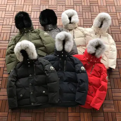 MOOSE KNUCKLES Jacke