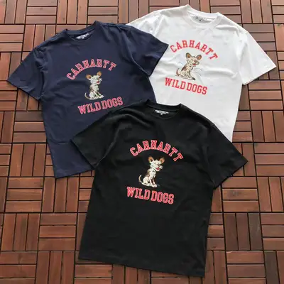 CARHARTT T-Shirt