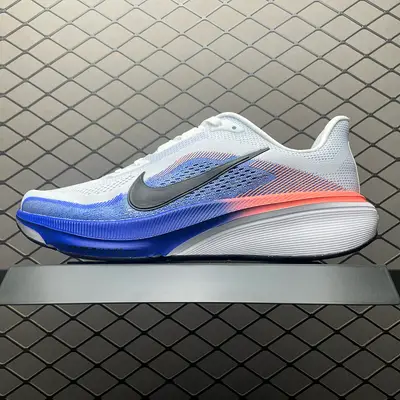 NIKE Zoom Pegasus