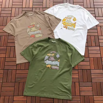 CARHARTT T-Shirt