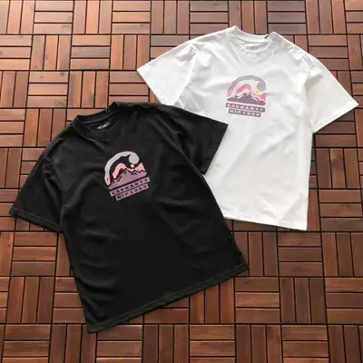 CARHARTT T-Shirt