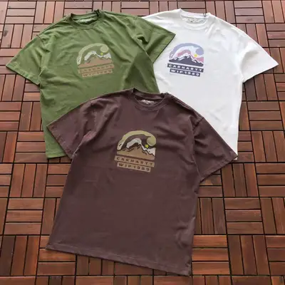 CARHARTT T-Shirt